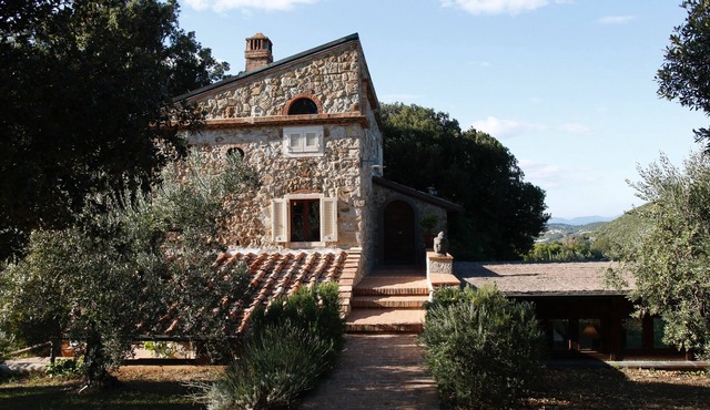 Charming, newly renovated olive grove in the heart of Tuscany