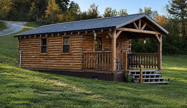 Charming one-room cabin 12 acre retreat private bath, kitchenette & log gazebo.