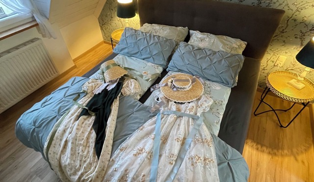 Charming Parlor, Eifel near Nürburgring - for 2-4 People near Lake & Castle-Ruin