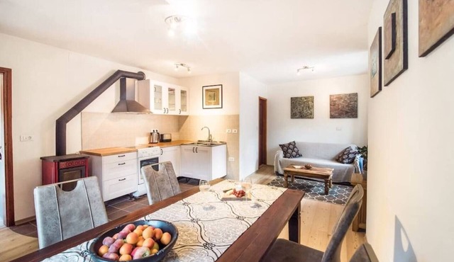 Charming, recently refurbished apartment with stunning views of mount Krn and beautiful surroundings