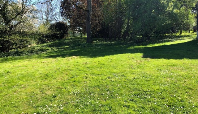 Charming rental with 1 ha park and woods