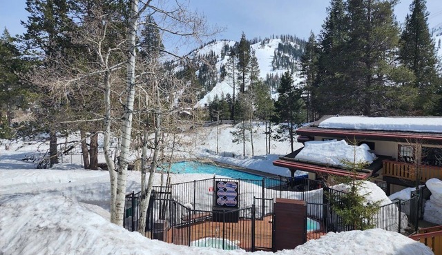 Charming resort in Olympic valley, CA. walking distance to Palisades Tahoe ski