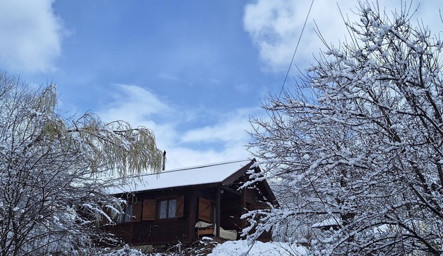 Charming 2-bedroom house with WiFi in Campulung Moldovenesc