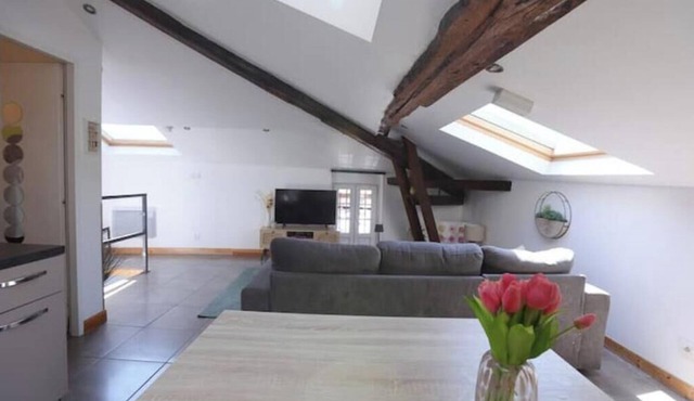 Charming rooftop cocoon in Vizille