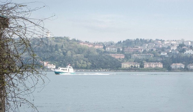 Charming Seaview Flat, Garden, 2min to Shore