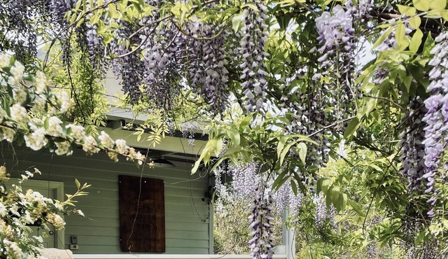 Charming self contained rustic country cottage joined to main farmhouse.