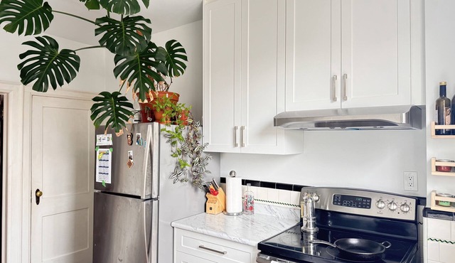 Charming semi in the heart of Queen West