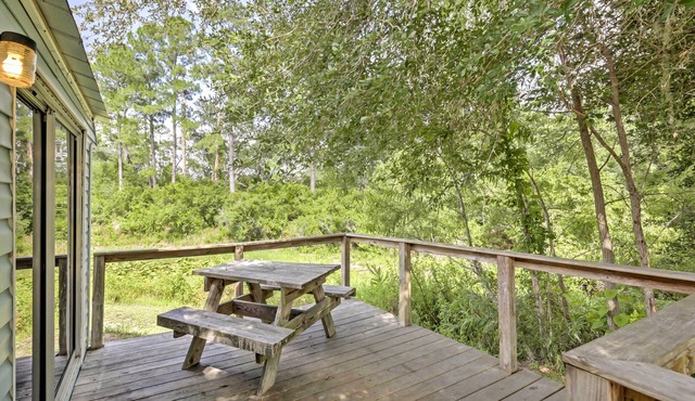 Charming Silver Springs Cabin w/Forest Views!