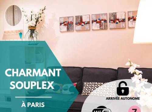 Charming souplex in Paris