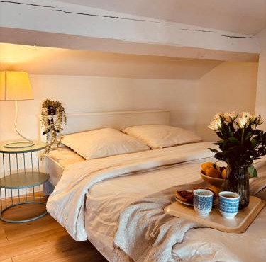 Charming studio, bright, central, quiet