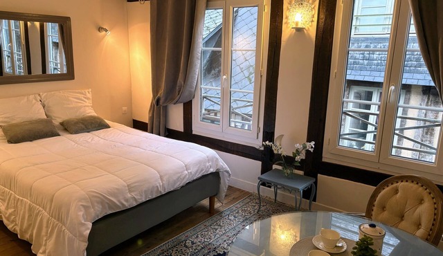 CHARMING STUDIO HOUSE HONFLEUR HOUSEHOLD AND BED LINEN INCLUDED