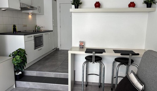 Charming Studio in Central Brussels - Walk Everywhere!