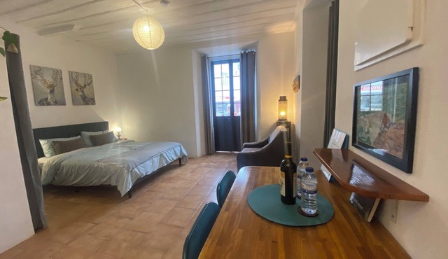 Charming studio in Espinhal for a cozy getaway