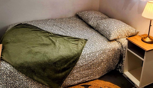 Charming Studio in the Heart of Sens/near Station