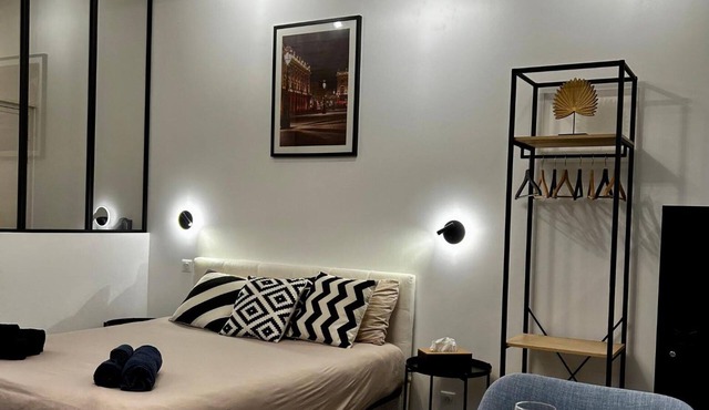 Charming studio Le Petit Godron - Nancy Centre, 50 metres from Place Stanislas