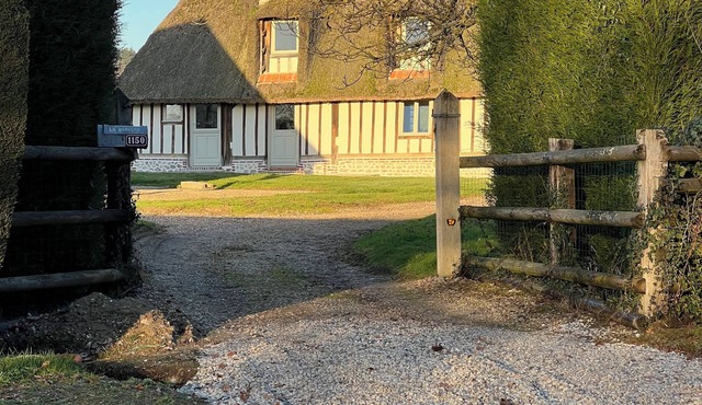 Charming thatched cottage