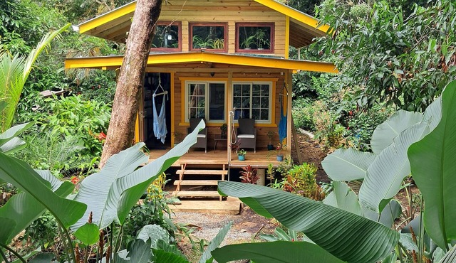 Charming Tiny House, 1 minute walk to surf and beaches, peaceful.