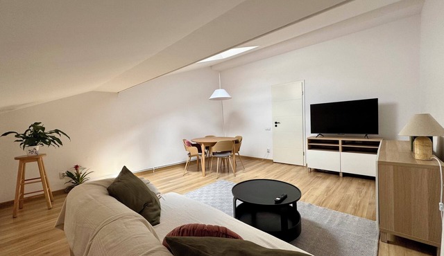 Charming Top-Floor Apartment in Central Cluj Cozy & Newly Refurbished