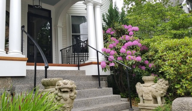 Charming Tree Top Victorian - Two Bedroom Retreat