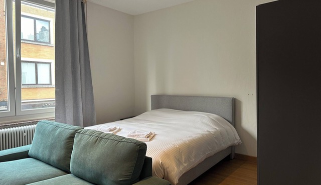 Charming Uccle Apartment with City Views