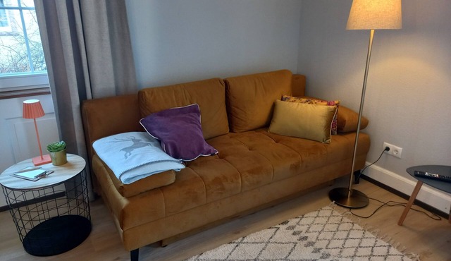 Charming vacation apartment for 2 people in Waldkirch-Buchholz