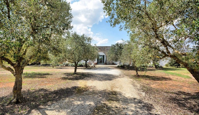 Charming villa with large garden and proximity to the sea