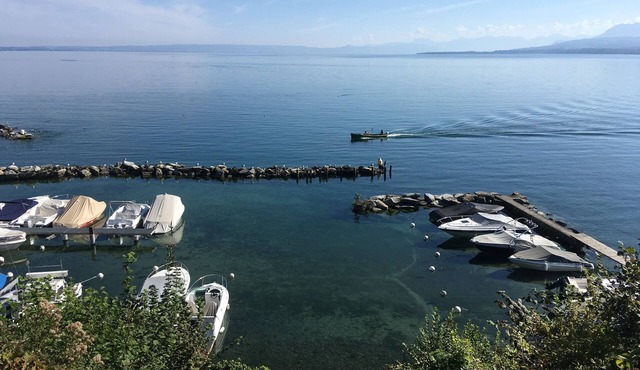 Charming waterfront house on Lake Geneva