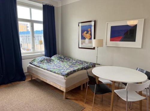 Charming well-kept studio