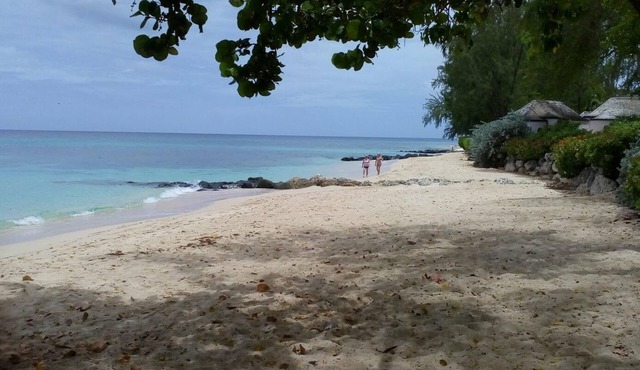 Charming West Coast Two Bedroom Apartment - Close to Lovely Beaches
