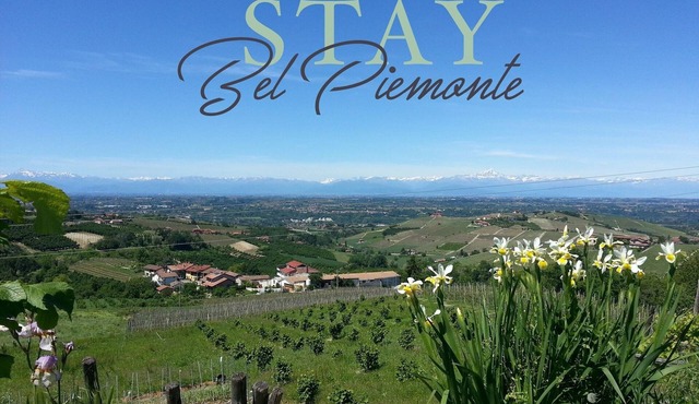 Charmingly restored apartment in Langhe-Roero. Stunning views!