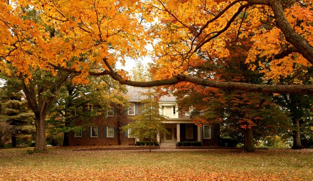 Charred Oaks Inn