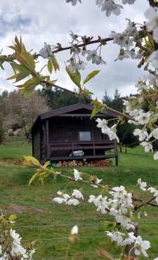 Chata na samotě, Šumava