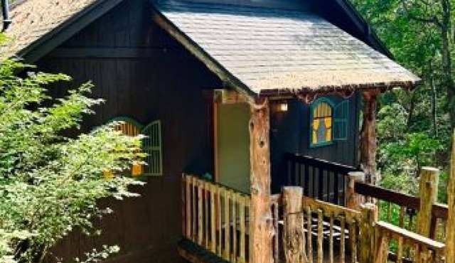 Chateau Treehouse #11/Oak Crest