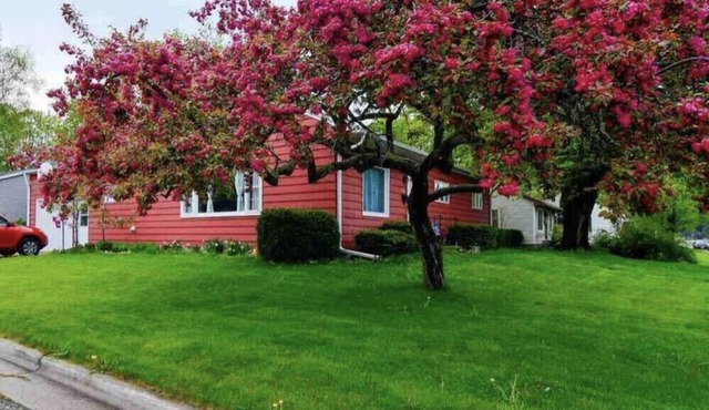 Cherry Corner Cottage-Vintage 3 Bedroom Home *instant booking*