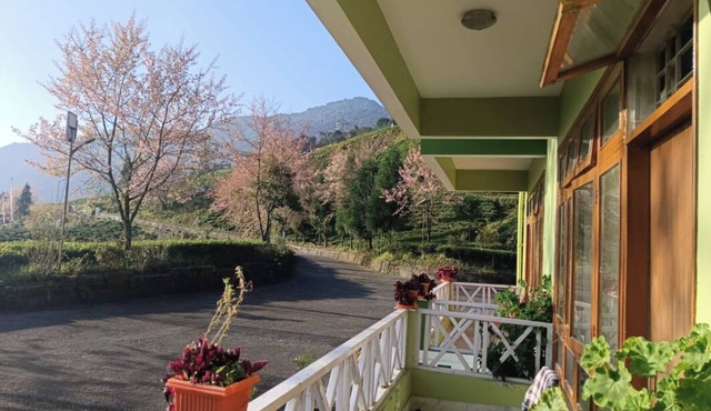 Cherry Resort