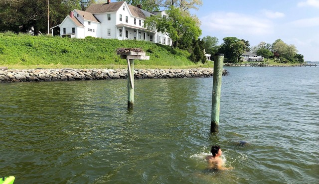 Chesapeake Bay Waterfront 5+ Bedroom 7-Acre Historic Farm Near Solomons Island