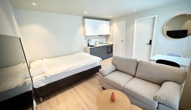 Chic and Modern Studio - Central