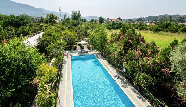 Chic Flat w Shared Pool and Garden in Dogusbelen