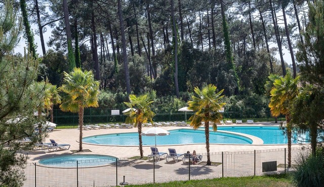 Chic stay near Forest