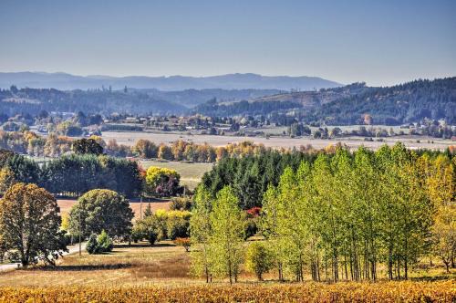 Chic Willamette Valley Home w/Deck & Vineyard!