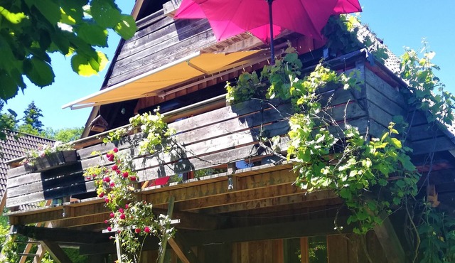 Chiemgau, charming chalet with private garden , relax in nature
