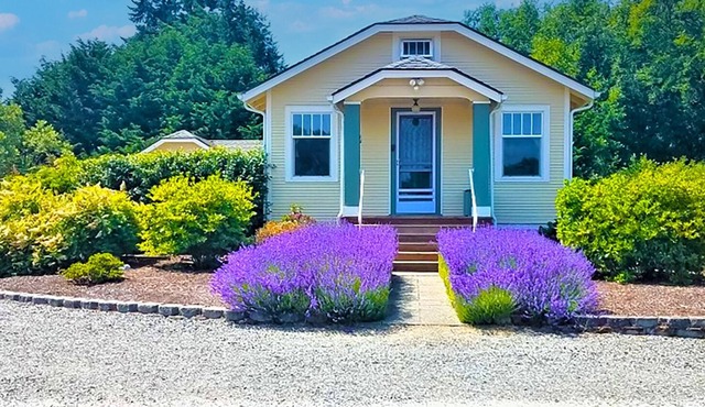 Chien Noir: House on Five Acres, Olympic Mountain Views, Pet Friendly