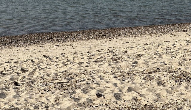 Chill on Cape Cod: Modern Saltbox w/Firepit, Quick Access to Beaches & Shopping
