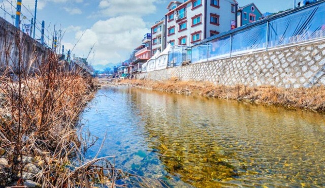 Chuncheon Pine Hill Pension