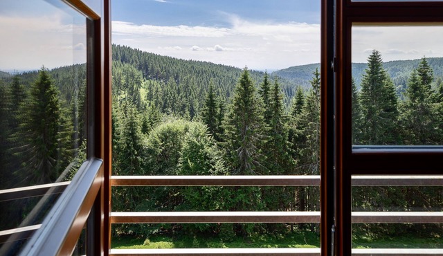 Cihlarka Mountain View Apartment