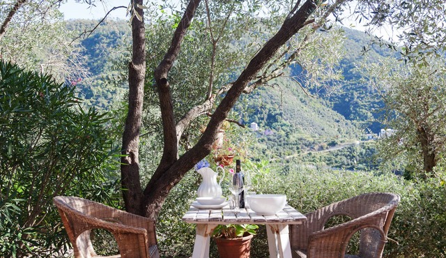 CINQUE TERRE LEVANTO/DOSSO A COZY HOUSE IMMERSED IN NATURE NOT FAR FROM THE SEA