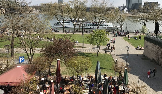 City Apartment 1-5 Rhein river view