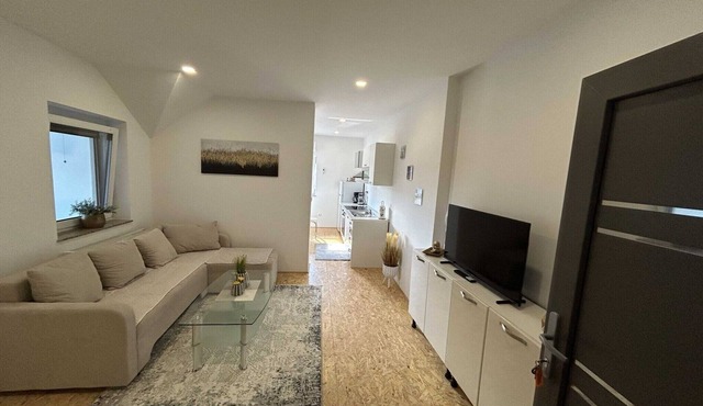City Modern and Vibrant Apartments Ljubljana - Standard One Bedroom Apartment