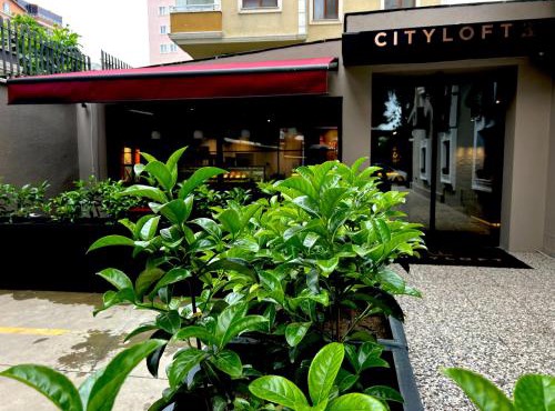 Cityloft 36