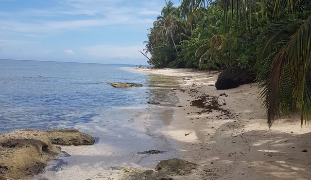 Ciudad Pérdida Ecolodge